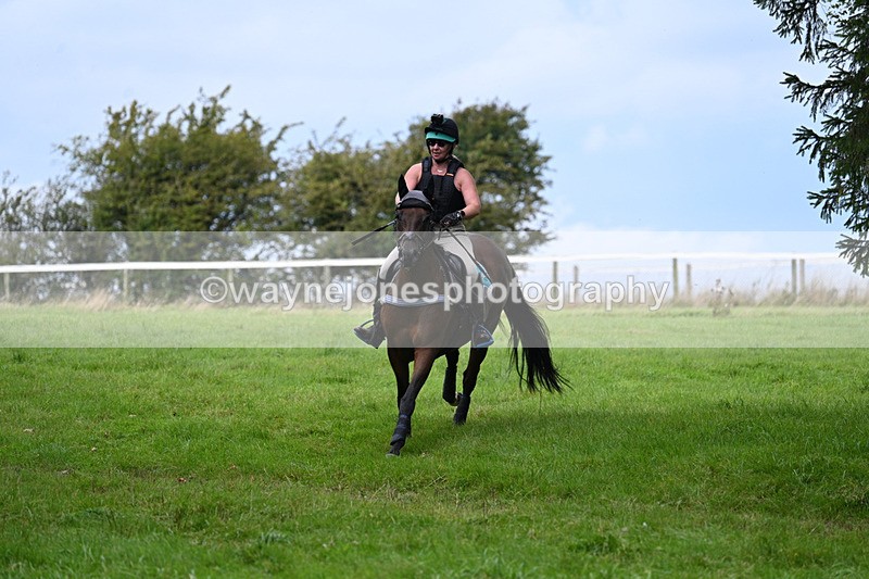 WJ7_8119 - Time 14:11 to 14:30