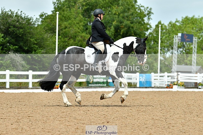 230702A-131052-09797 - Cls 28 Elementary 45