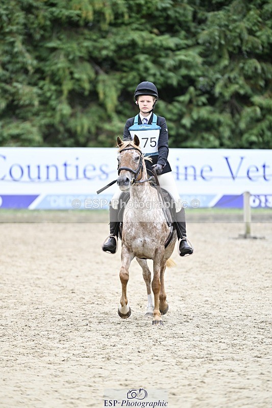 250820A-113355-03701 - Round 1, 11am to End