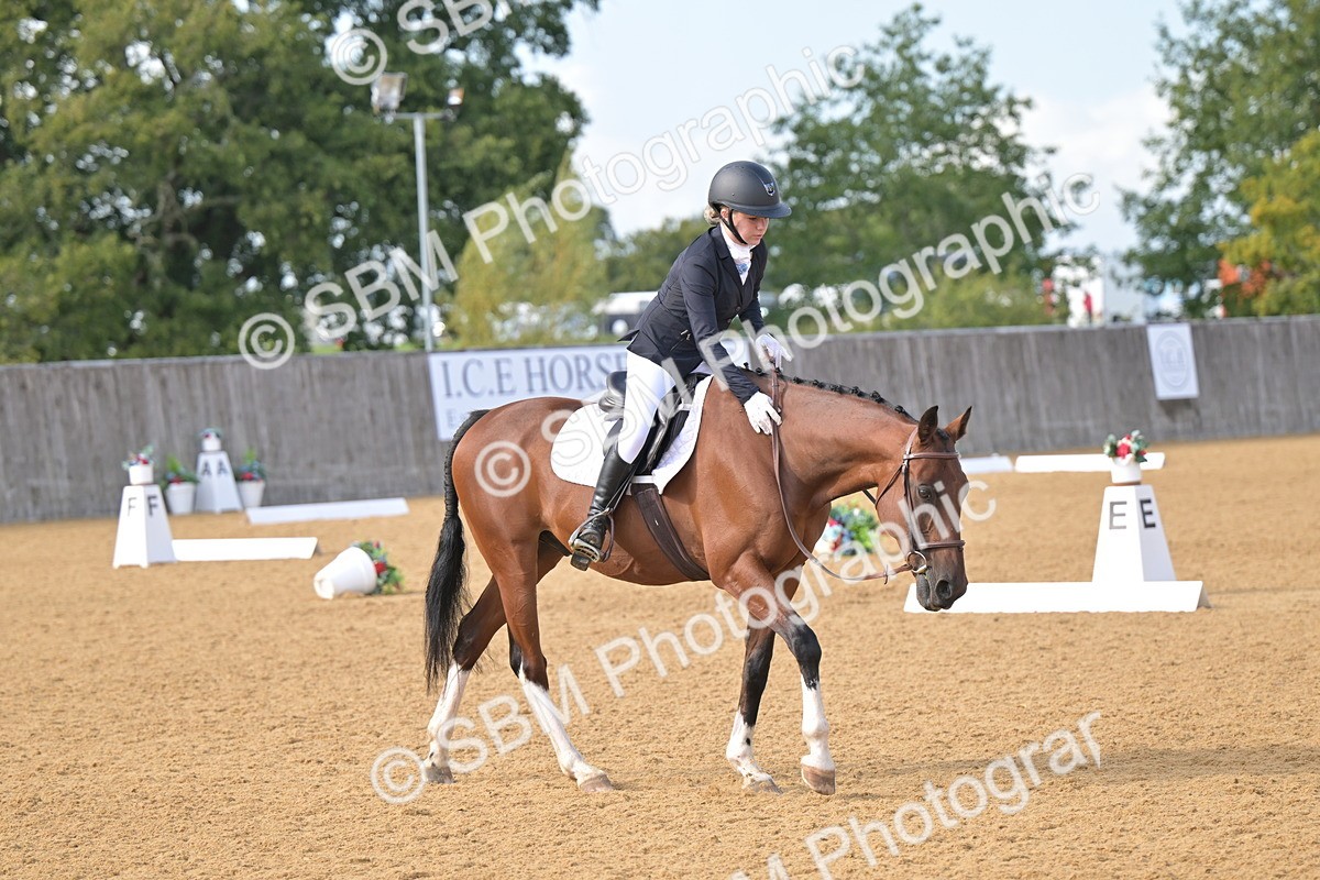 SBM_11130 - D3 - Small Tour Championship Intro 3