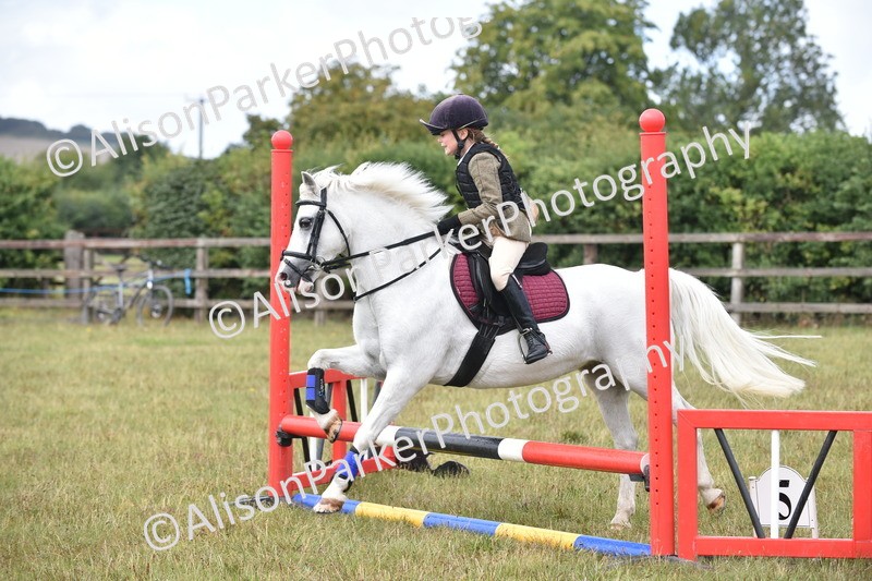 20250831-1873 - Class 9 - Absolute Novice 45cm