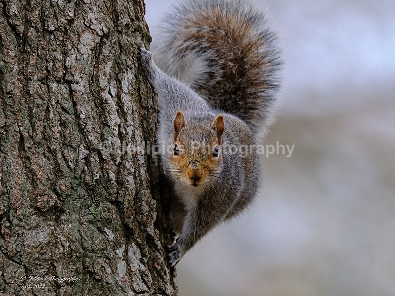  - Wildlife and Nature