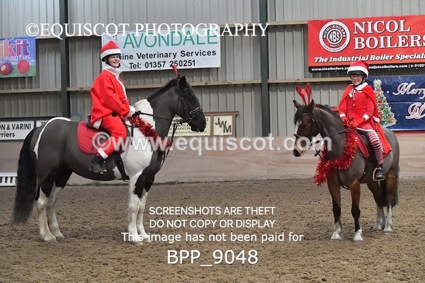 BPP_9048 - CLASS 3 50CM-70CM Pairs Show Jumping