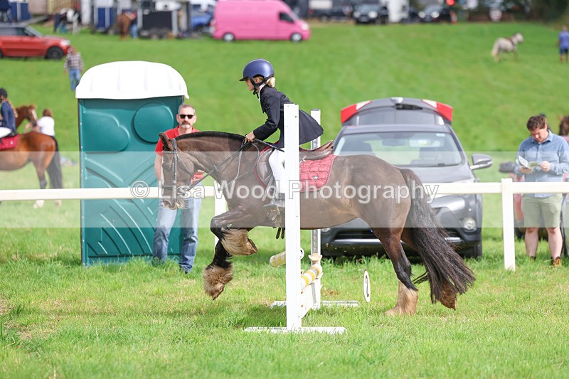 3E7A5329 - Class 1: 60cm Juniors and Seniors