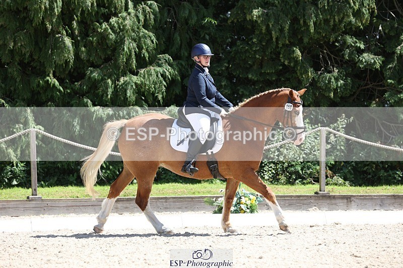 230811-133316-01823 - Cls 1 Prelim Bronze 13.30 to 14.50 break