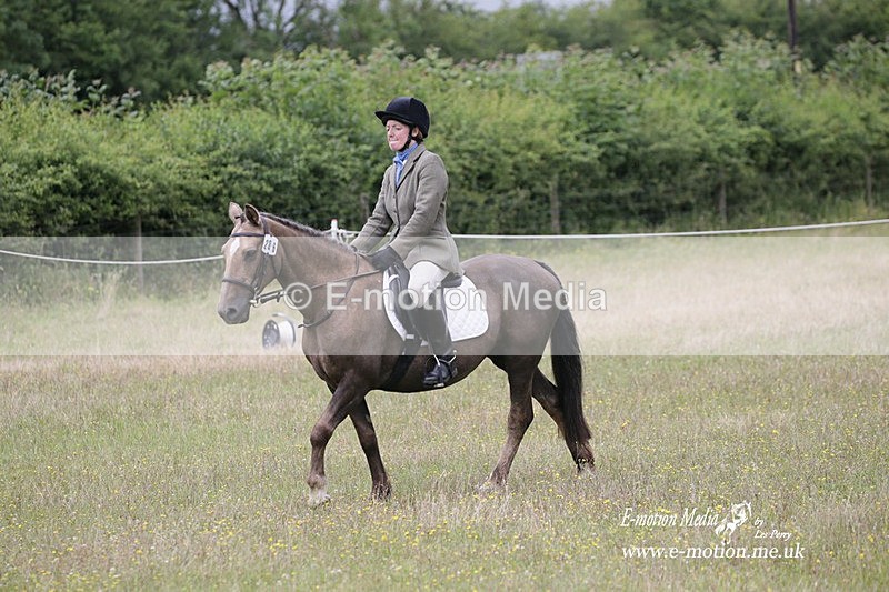 BVRC 030721 796 - Bourne Valley Riding Club Dressage 03/07/21