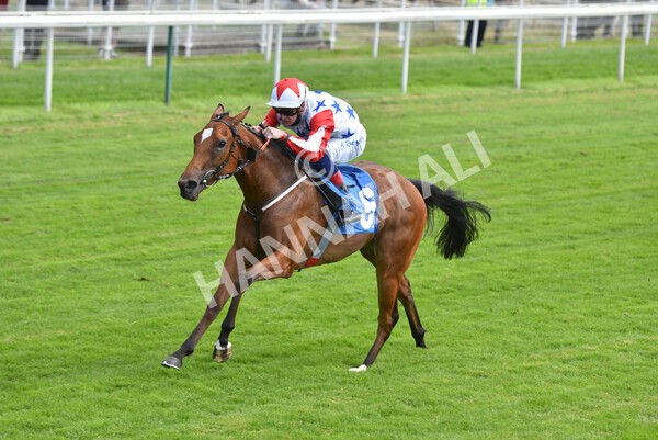 yr09072021r3-18 - Race 3 3.15pm William Hill Pick Your Places Irish EBF Novice Stakes