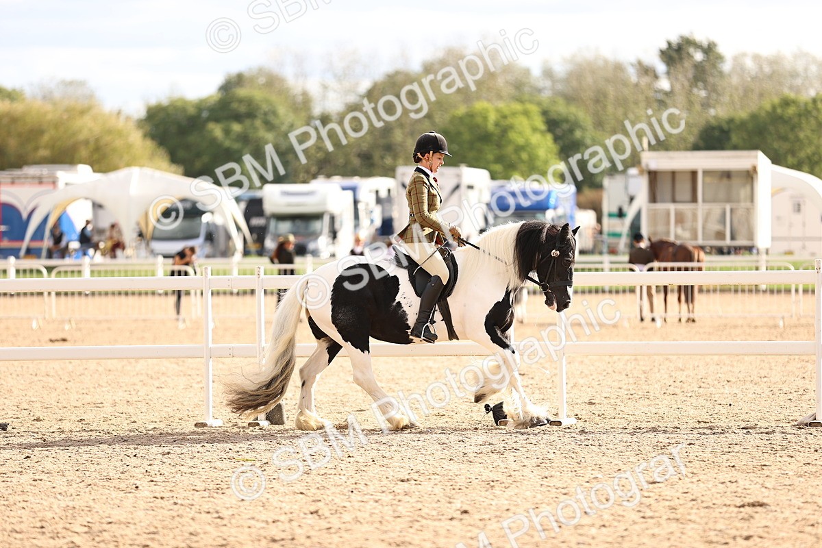 SBM_18254 - Class 423 - Equitation (best rider) Adult