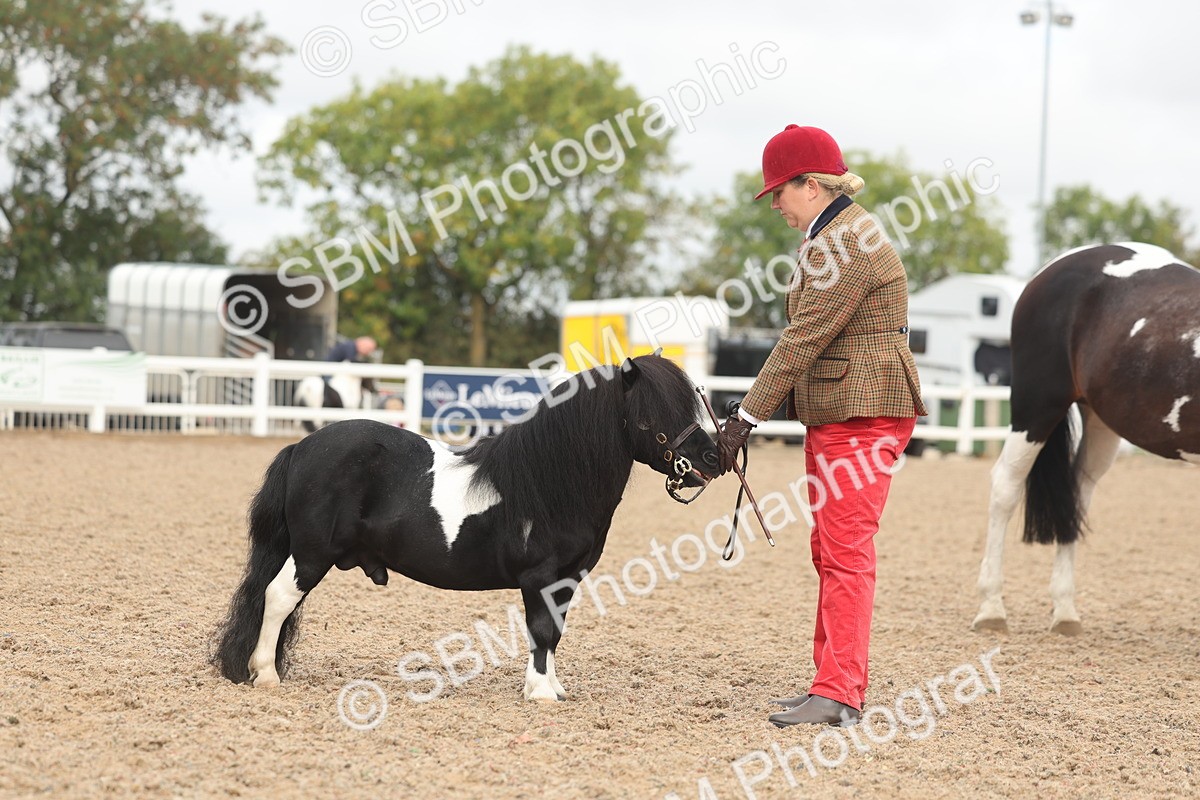 SBM_02120 - Class 15 - IH Coloured