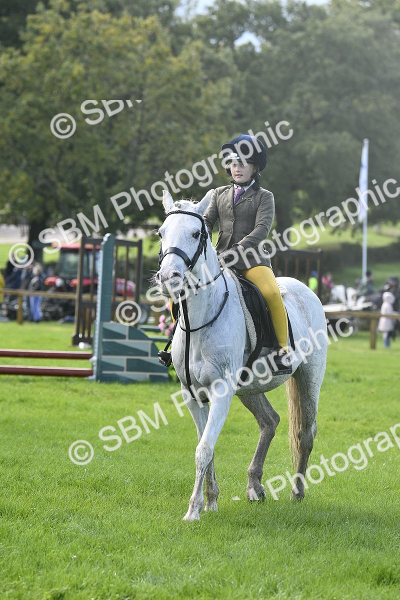 SBM_37214 - S31 - Novice & Newcomer Working Hunter Pony