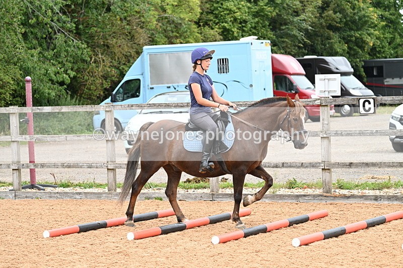 WJ7_7540 - Poles 10:00am