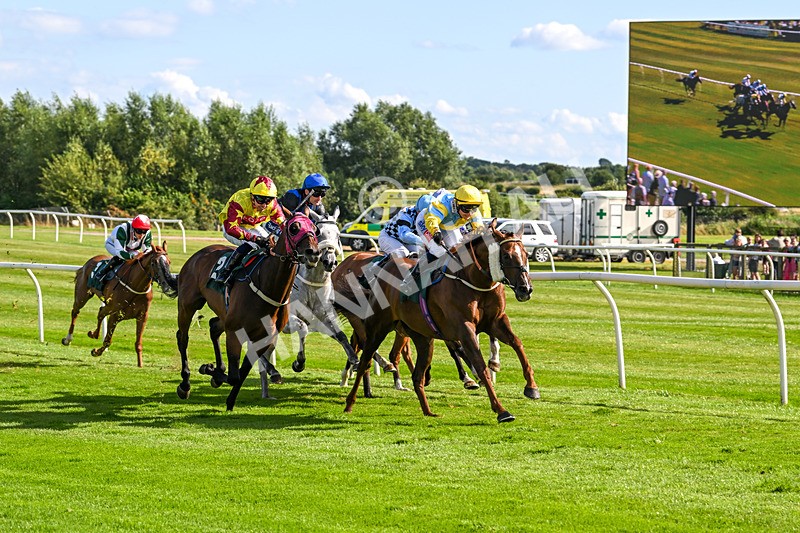 060824-Race 5-Jamih-2943 - Race 5