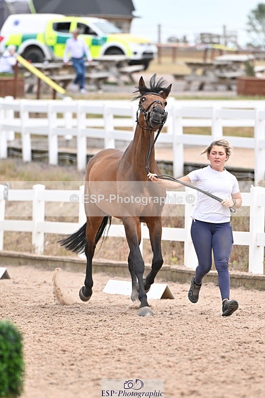 250716-141947-01017 - Trot Up 1.30 to 2.30