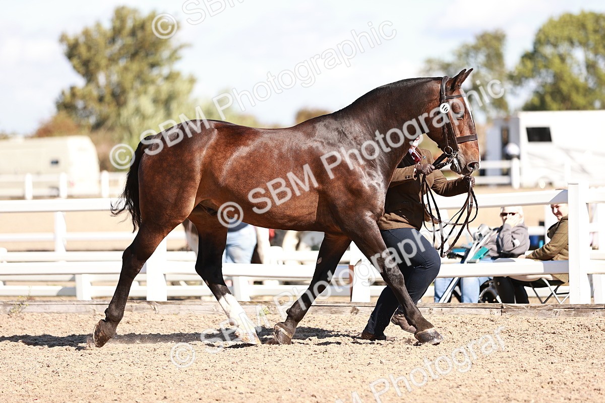 SBM_13234 - Class 405 - IH Show Cob