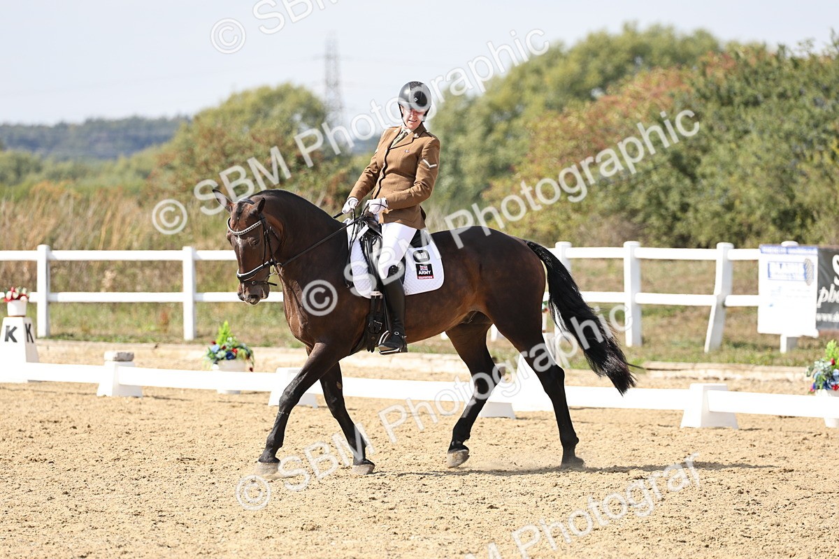 SBM_014910 - Class 7 - Medium 3