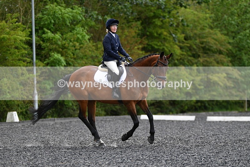 WJ5_0265 - Time 12:24 to 13:01