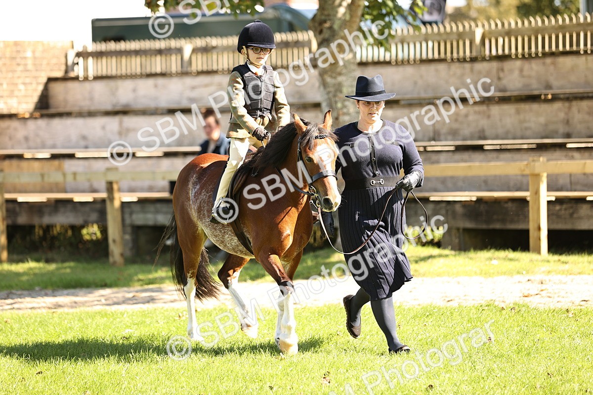 SBM_19281 - S3 - TSR Ridden Pony Showing