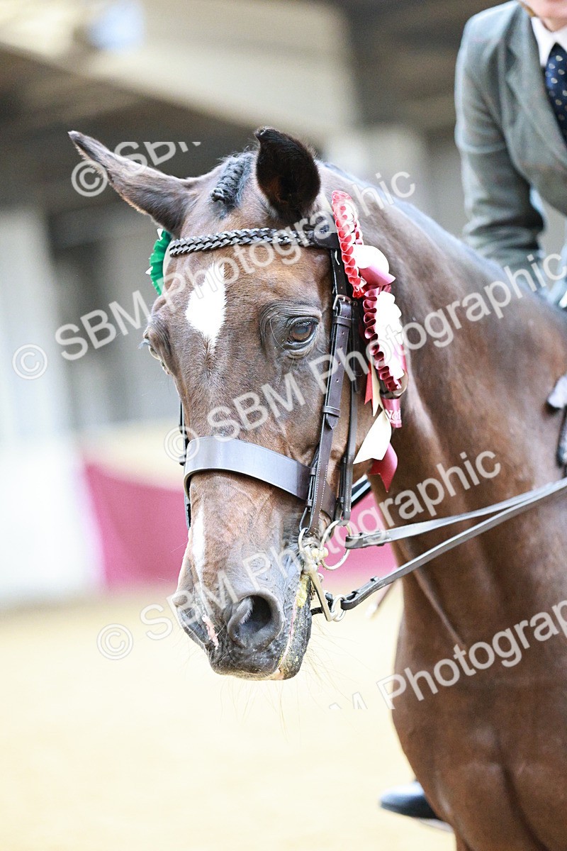 SBM_02311 - Class 4A - Area Ridden Diamond