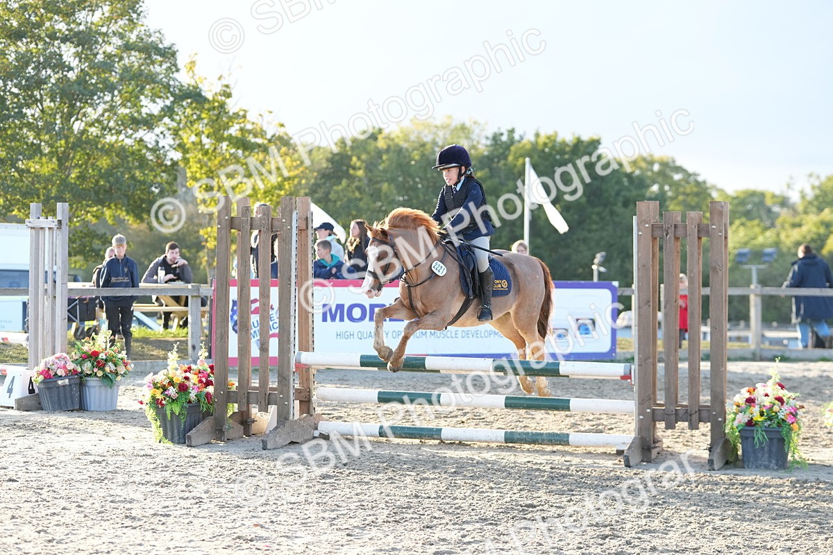 SBM_54089 - Supreme Championship 60cm 65cm