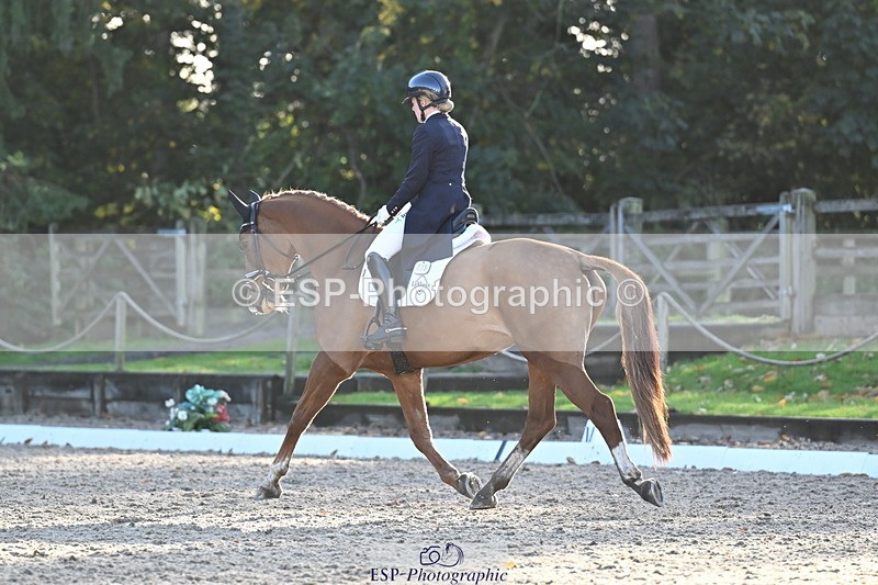 251023A-162347-06060 - B-170-Mollie.Summerland