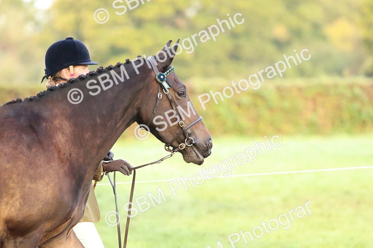 SBM_54506 - S38 - Starters Best Turnout