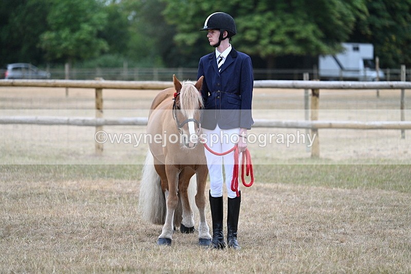 WJ7_9605 - Class 5 Most Handsome Gelding (up to 14.2hh)