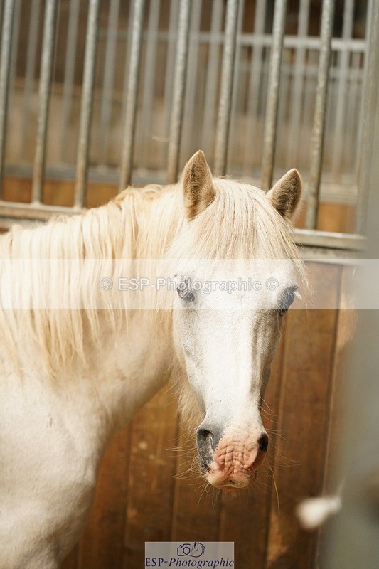 240809A-134754-01030 - Stable Shots