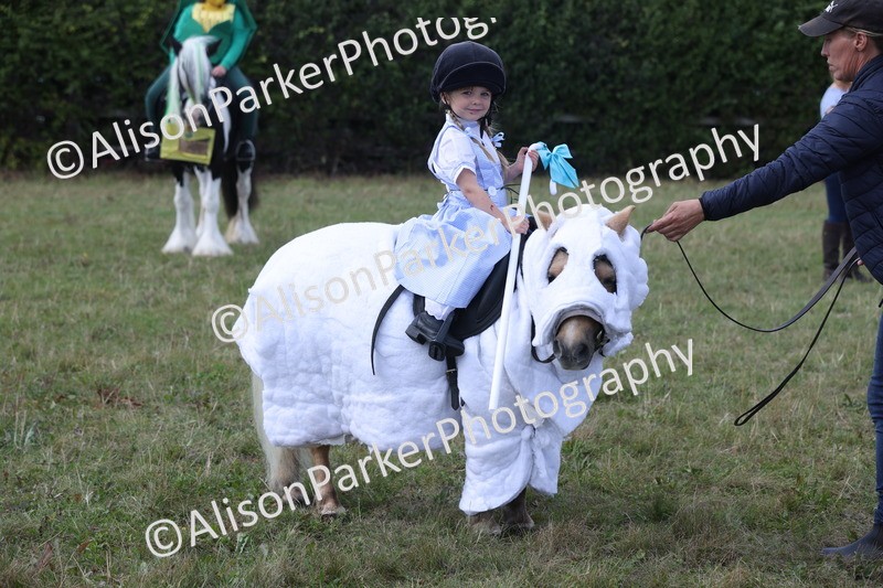 20250831-3565 - Class 26 - Fancy Dress