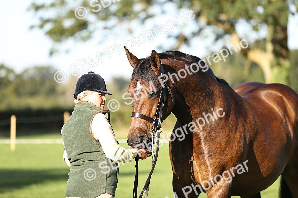 SBM_15678 - S1 - TSR in Hand Horse & Pony Showing
