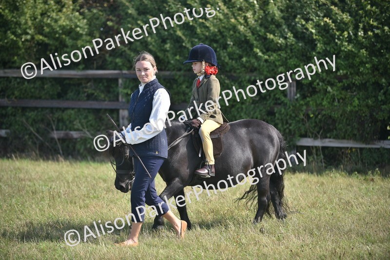 20260906-1791 - Class 11 - 13hh and Under