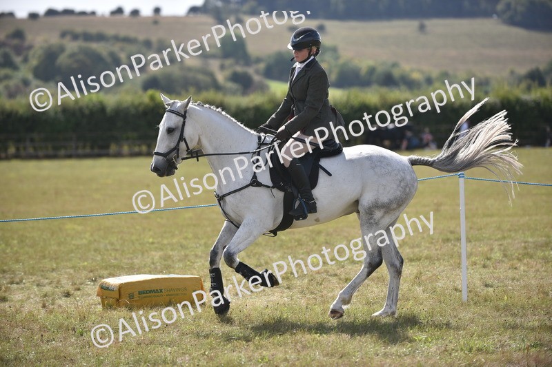 20260906-2709 - Class 13 - Working Hunter Horse or Pony