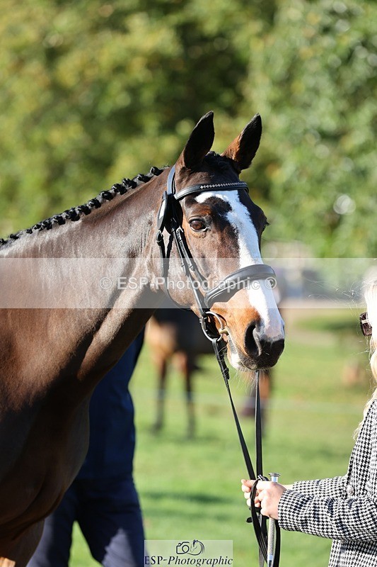 241027-091206-15111 - 351-Grace.Gillard-INDI