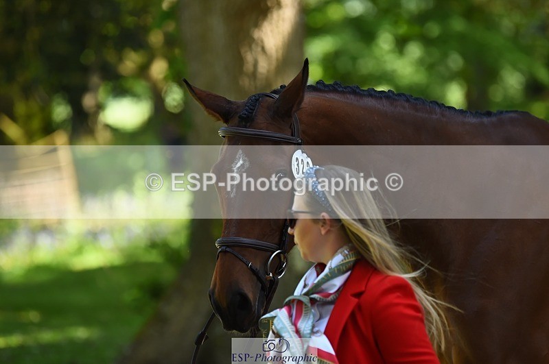 230524-152026-00214 - 322-CHANSON_DU_VILLAGE-Phoebe_Locke-WEDTrotUp+DR