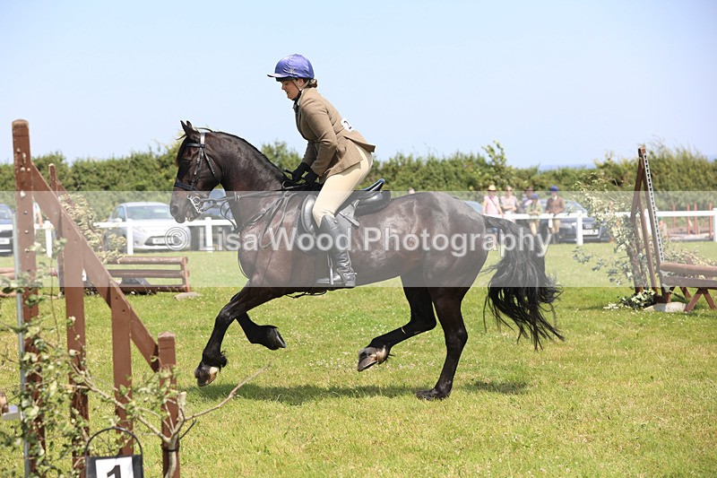 JPP_2538 - Class 21: Working Hunter 60cm