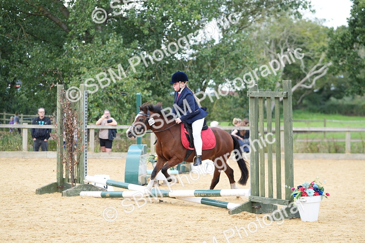 SBM_64394 - J2 - Mini Tour Junior Pony 30cm Championship