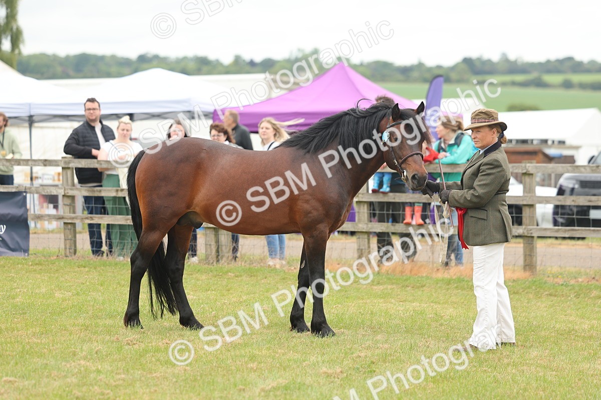 SBM_05074 - Class 50-57 - M&M Welsh Pony In Hand