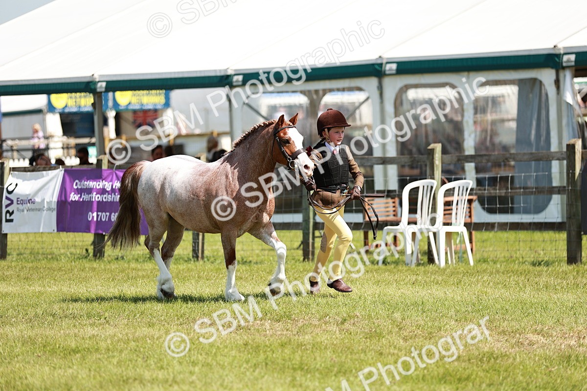 SBM_13528 - Class 108-109 - BSPS LIHS Open Gradle & Nursery Stakes