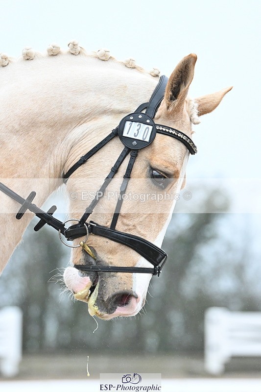 240217A-091737-00323 - 130-Kate.Kerswell-Top.Gun.RB