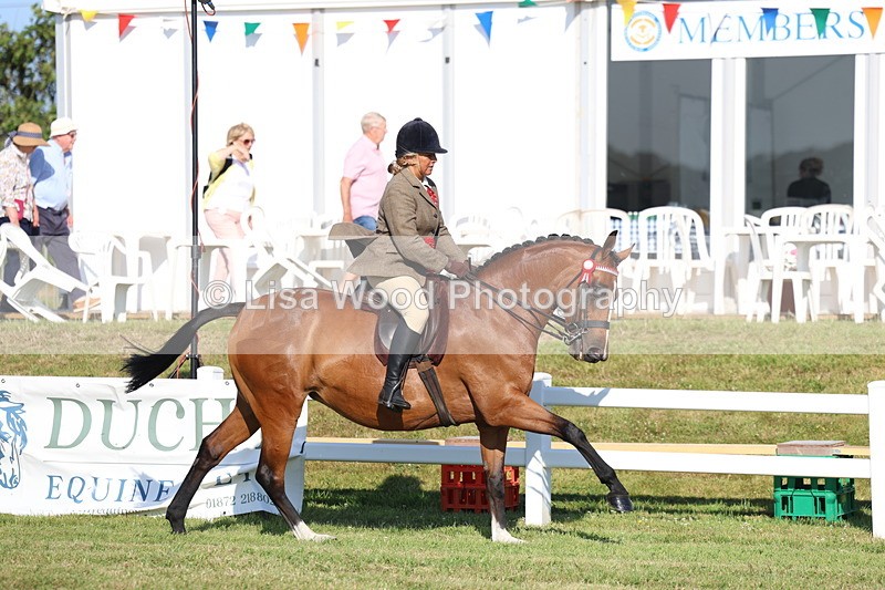 3E7A5210 - Class 1: Rising Star Small Hack/Riding Horses