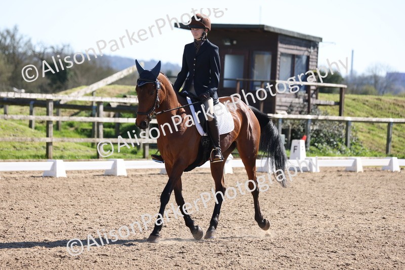 20260318-0494 - Class 5 - Novice 2