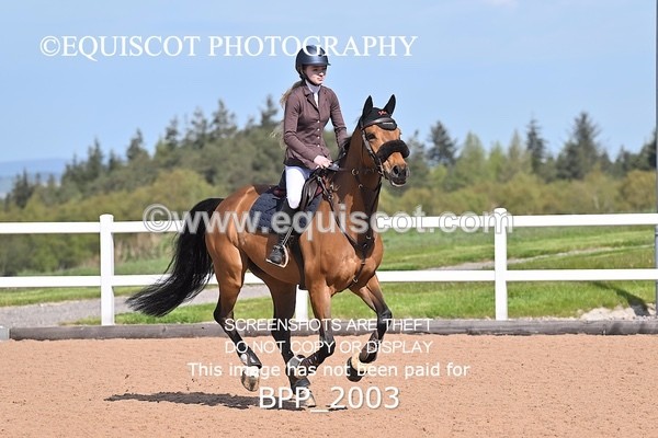 BPP_2003 - CLASS 3 - FRI - Senior British Novice/90cms Open