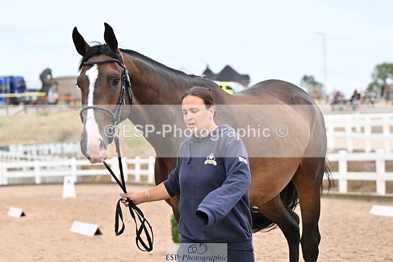 250716-160814-02442 - Trot Up 3.30 to 4.30