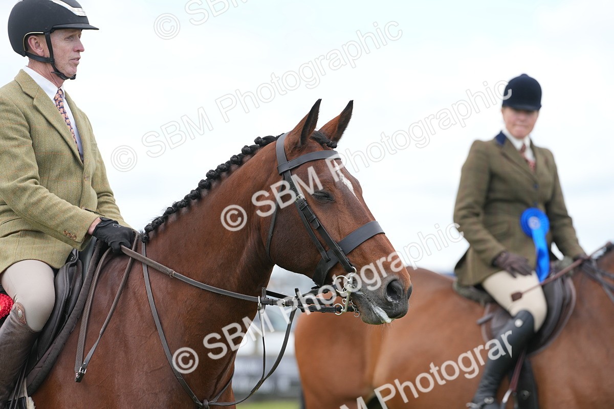 SBM_00018 - Class 100-102 - RIHS Working Hunter