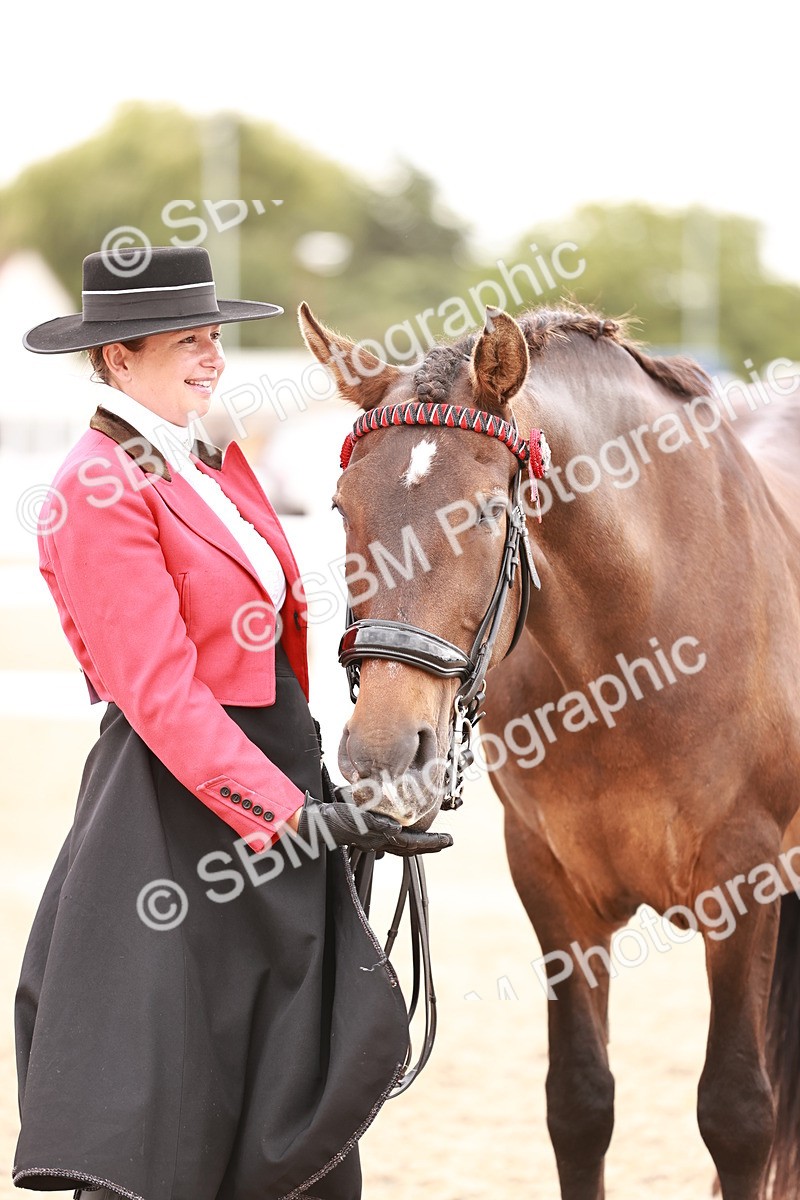 SBM_16926 - Class 415 - Horse-Pony Judge would most like to take home