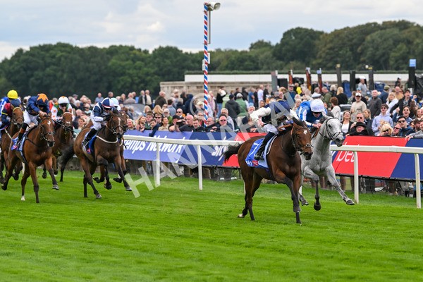 210825-Race 1-Royal Fixation-3589 - Race 1 1.50pm Sky Bet Lowther Stakes