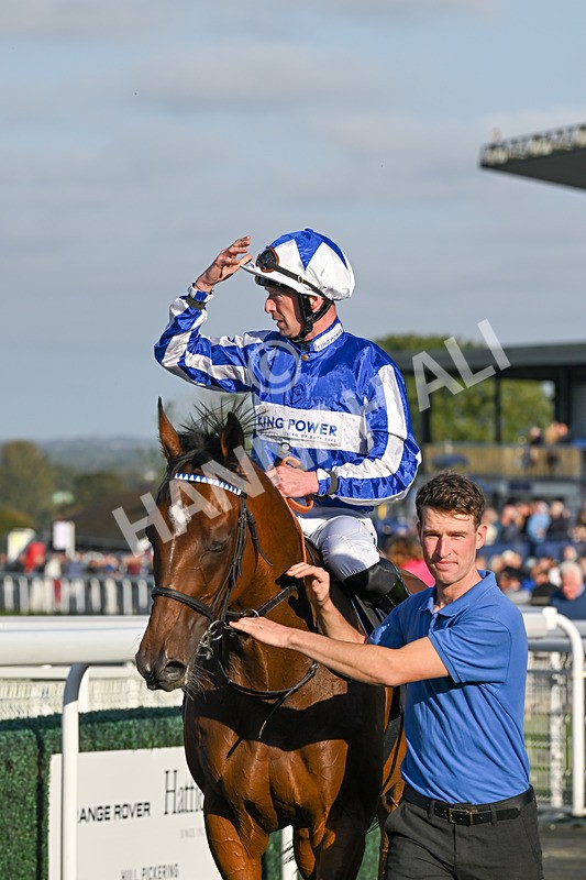 180924-Race 7-Fox Avatar-5272 - Race 7