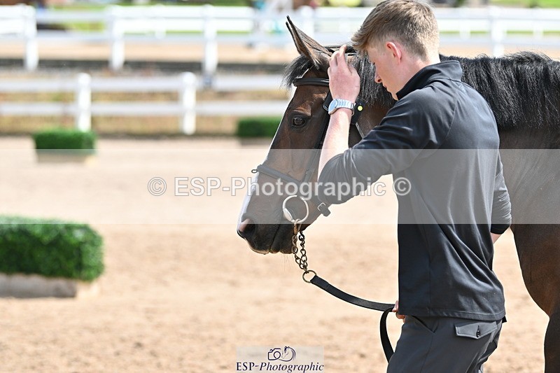 240717A-151916-02752 - Trot Up 3pm to 4pm
