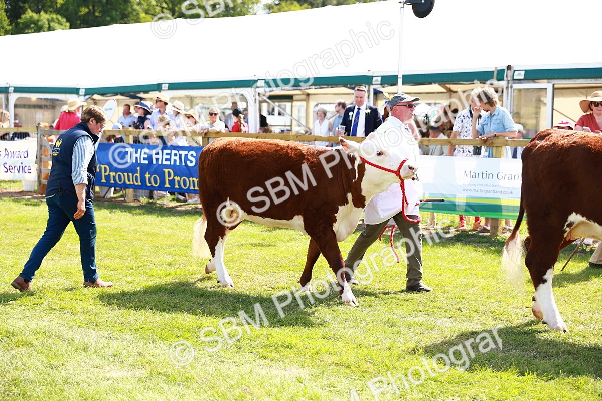 SBM_08452 - Grand Parade