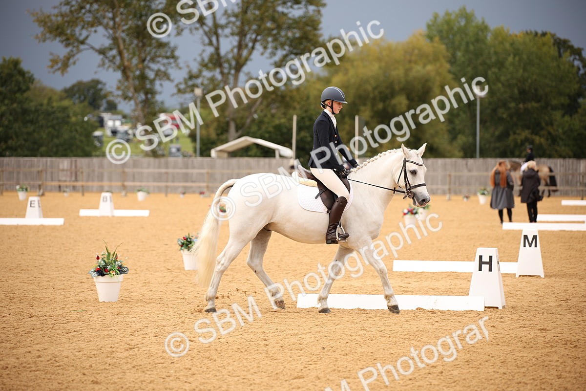 SBM_12252 - D3 Small  Tour Championship Intro A