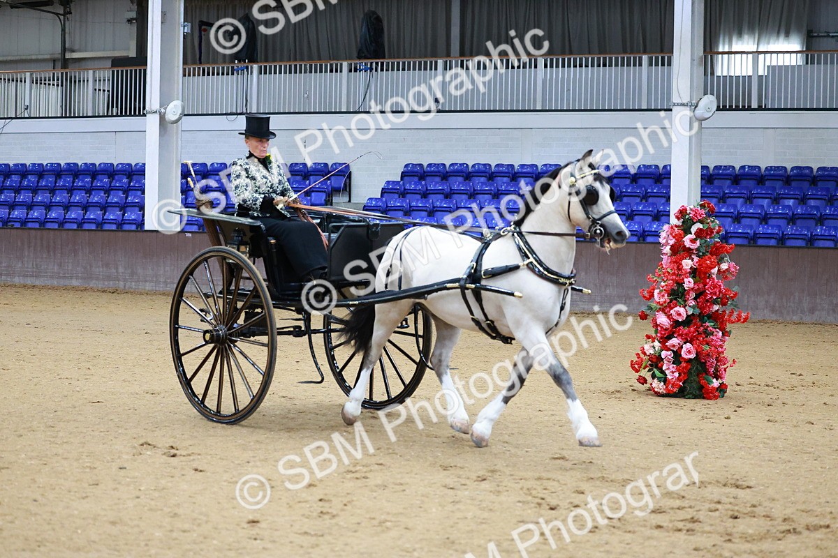 SBM_000053 - Class 1 - Non Hackney Private Drive 13.2hh and Under